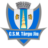 加拉茨凤凰